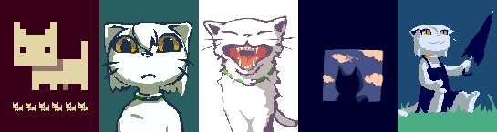 five cats from Neko 100